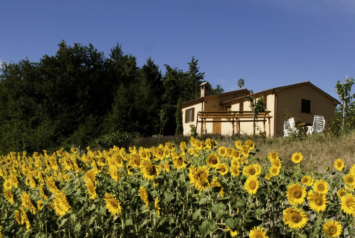 Luxury 5 Bed B&B for Sale In Sant’Angelo in Vado Marche Italy