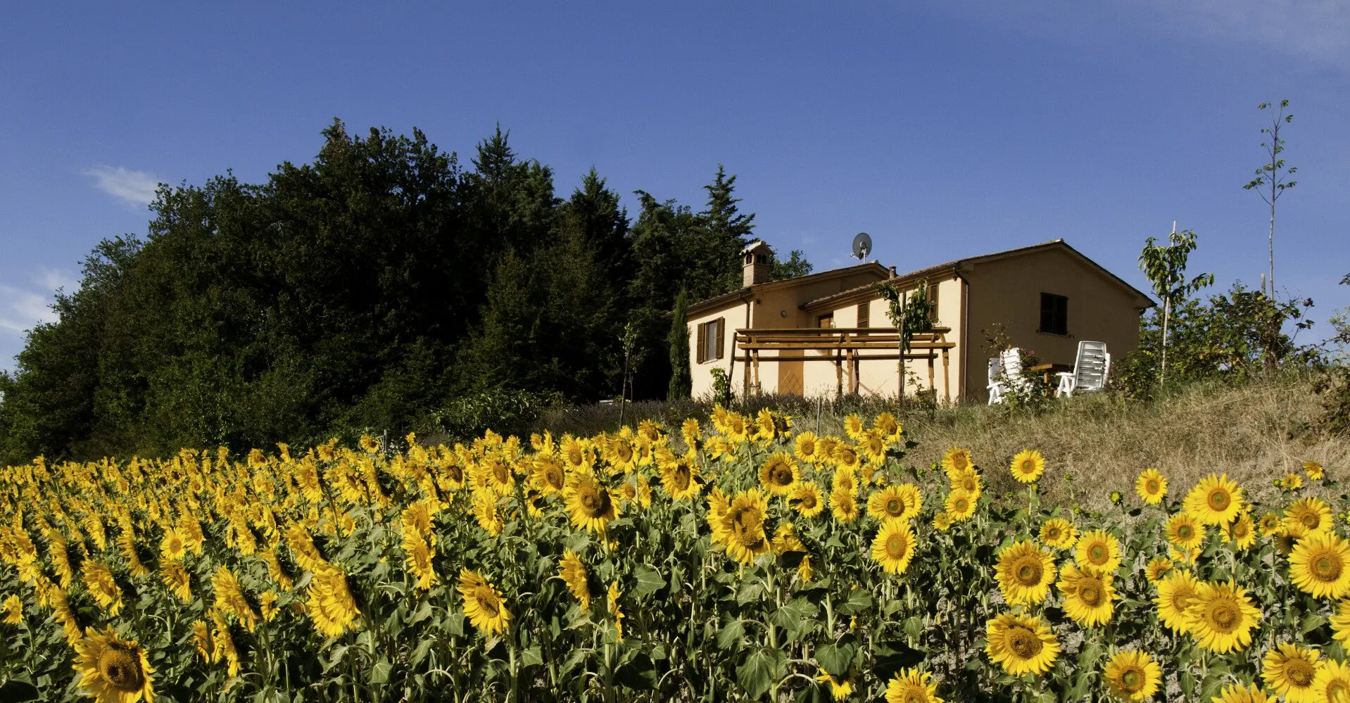 Luxury 5 Bed B&B for Sale In Sant’Angelo in Vado Marche Italy