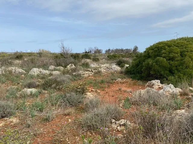 Excellent Plot of land for sale in Morciano di Leuca Puglia Italy