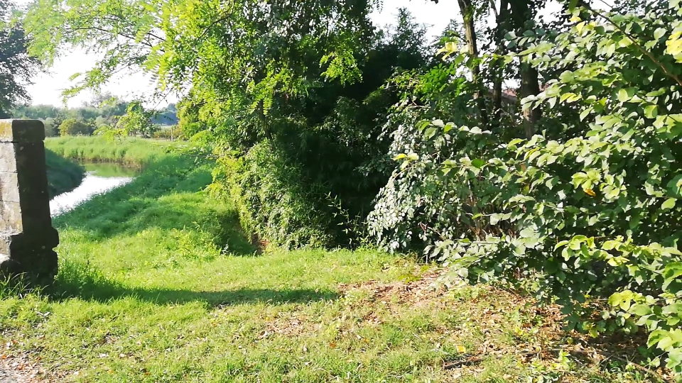 Excellent Plot of land for sale in Silvelle di Trebaseleghe Padua Veneto Italy