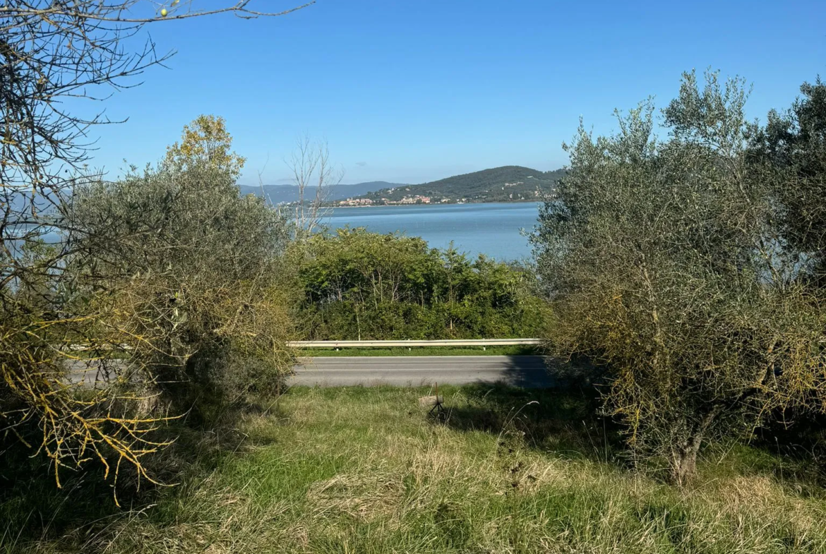 Excellent Plot of land for sale in Sant’Arcangelo Umbria Italy