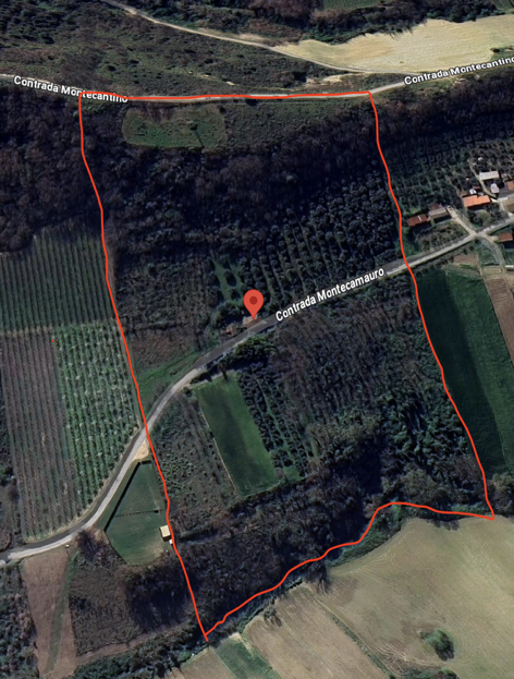 Excellent 3 Bed Farmhouse for Renovation for Sale In Campofilone Fermo Marche Italy