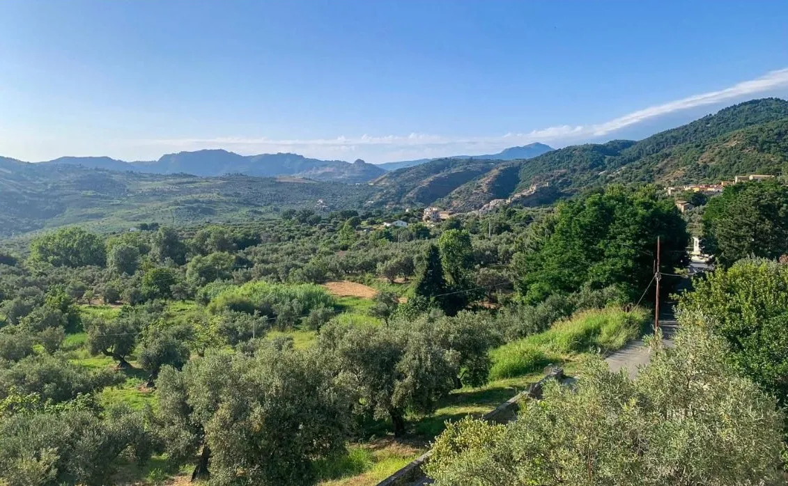 Commerical property with apartment for Sale In Cleto Calabria Italy