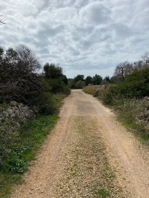 Excellent Plot of land for sale in Morciano di Leuca Puglia Italy