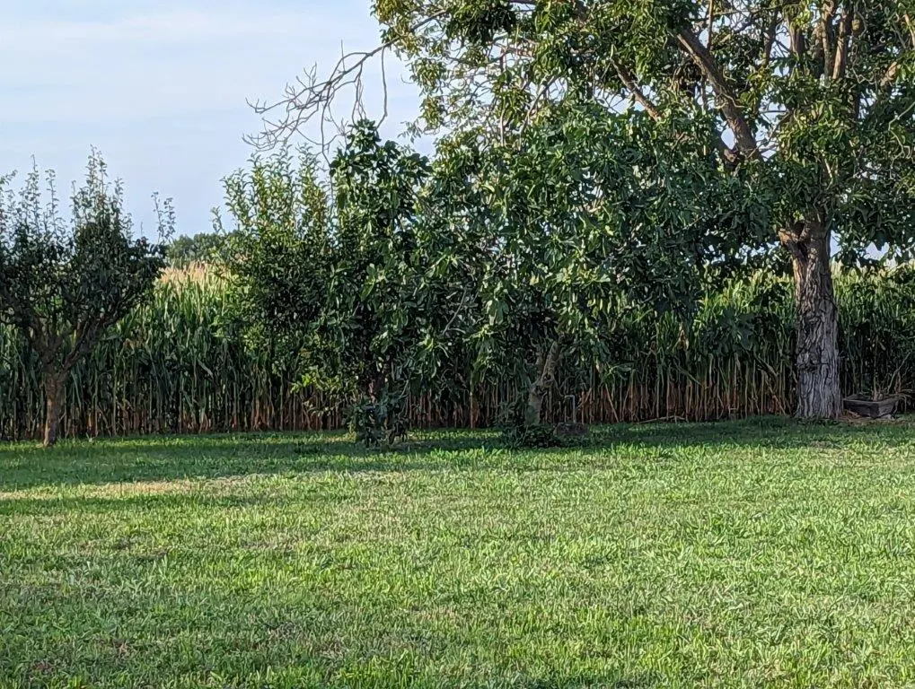 Excellent 3 Bed House For Sale in Lombardy Italy