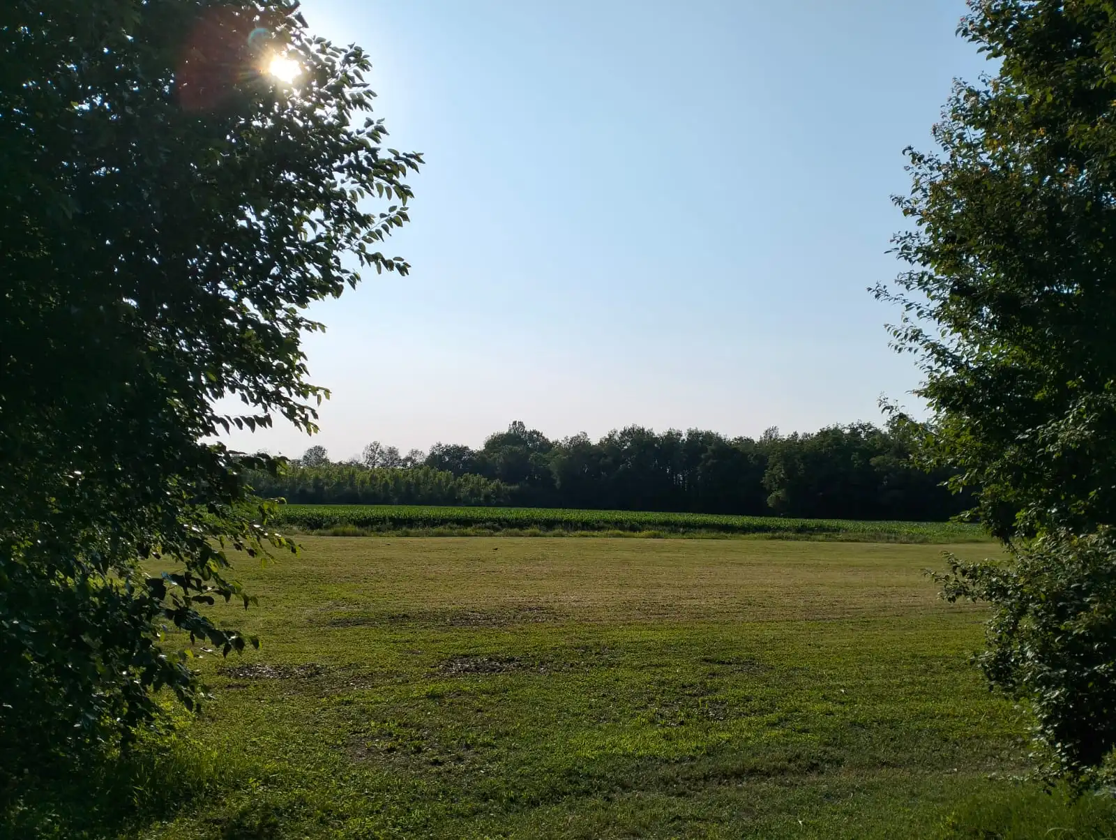 Excellent Plot of land for sale in Silvelle di Trebaseleghe Padua Veneto Italy