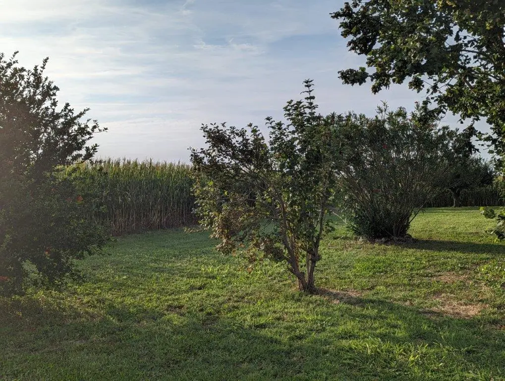 Excellent 3 Bed House For Sale in Lombardy Italy