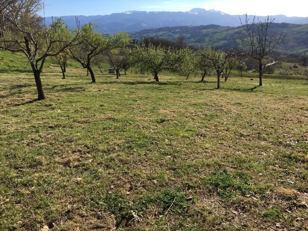 Stunning Country Villa & Separate House for Sale In Busso Italy