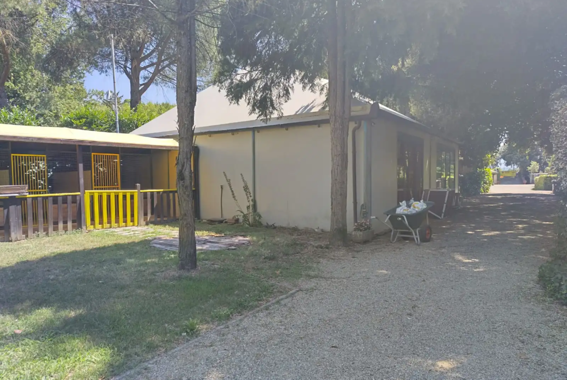 Luxury Estate & Canine Business for Sale In Terranuova Bracciolini Tuscany Italy