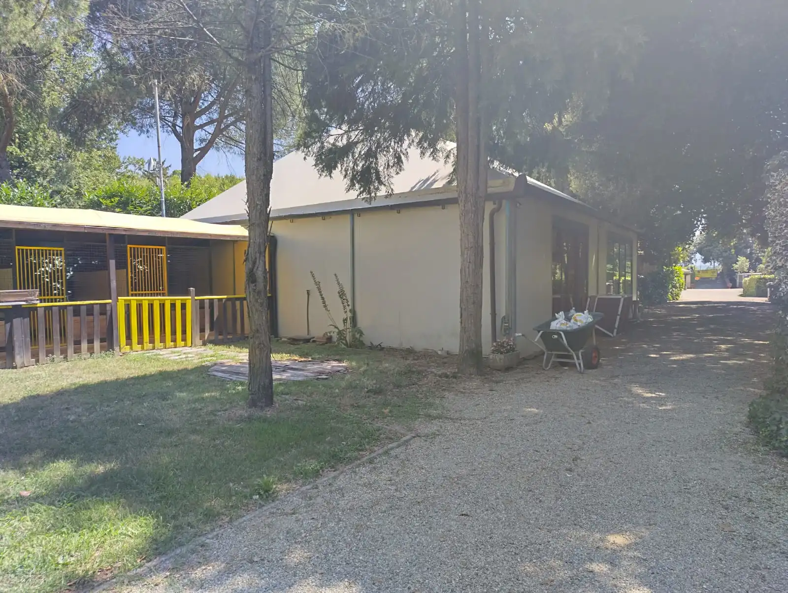Luxury Estate & Canine Business for Sale In Terranuova Bracciolini Tuscany Italy