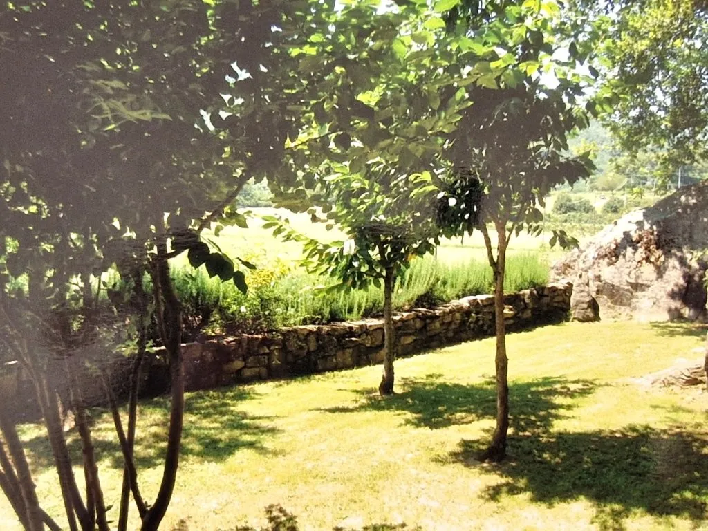 Estate with Multiple Properties for Sale In Cortona Tuscany Italy