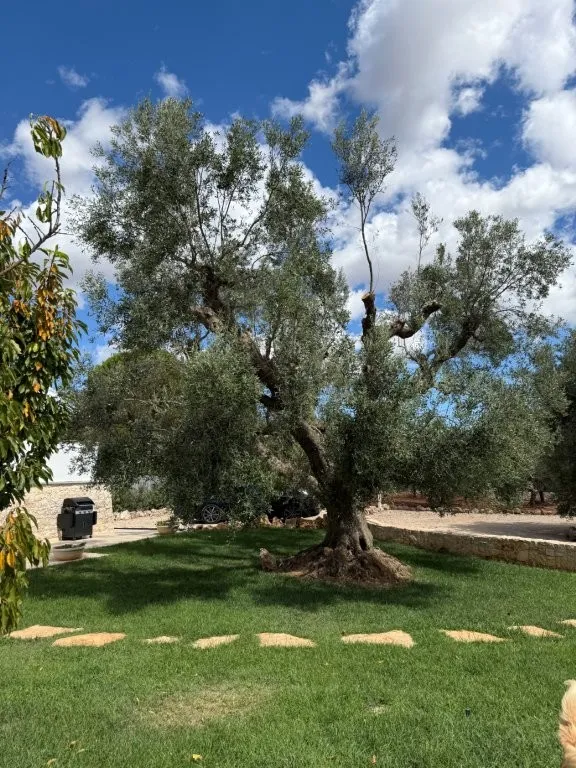 Luxury 3 Villa for Sale In Ostuni Puglia Italy
