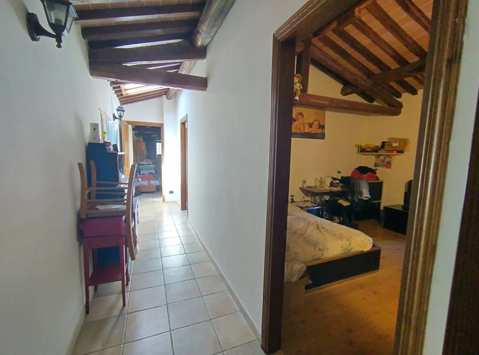 Luxury Estate & Canine Business for Sale In Terranuova Bracciolini Tuscany Italy