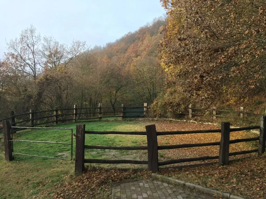 Luxury 8 Bed Farmhouse With Land for Sale In Sorriva, Viano, Italy