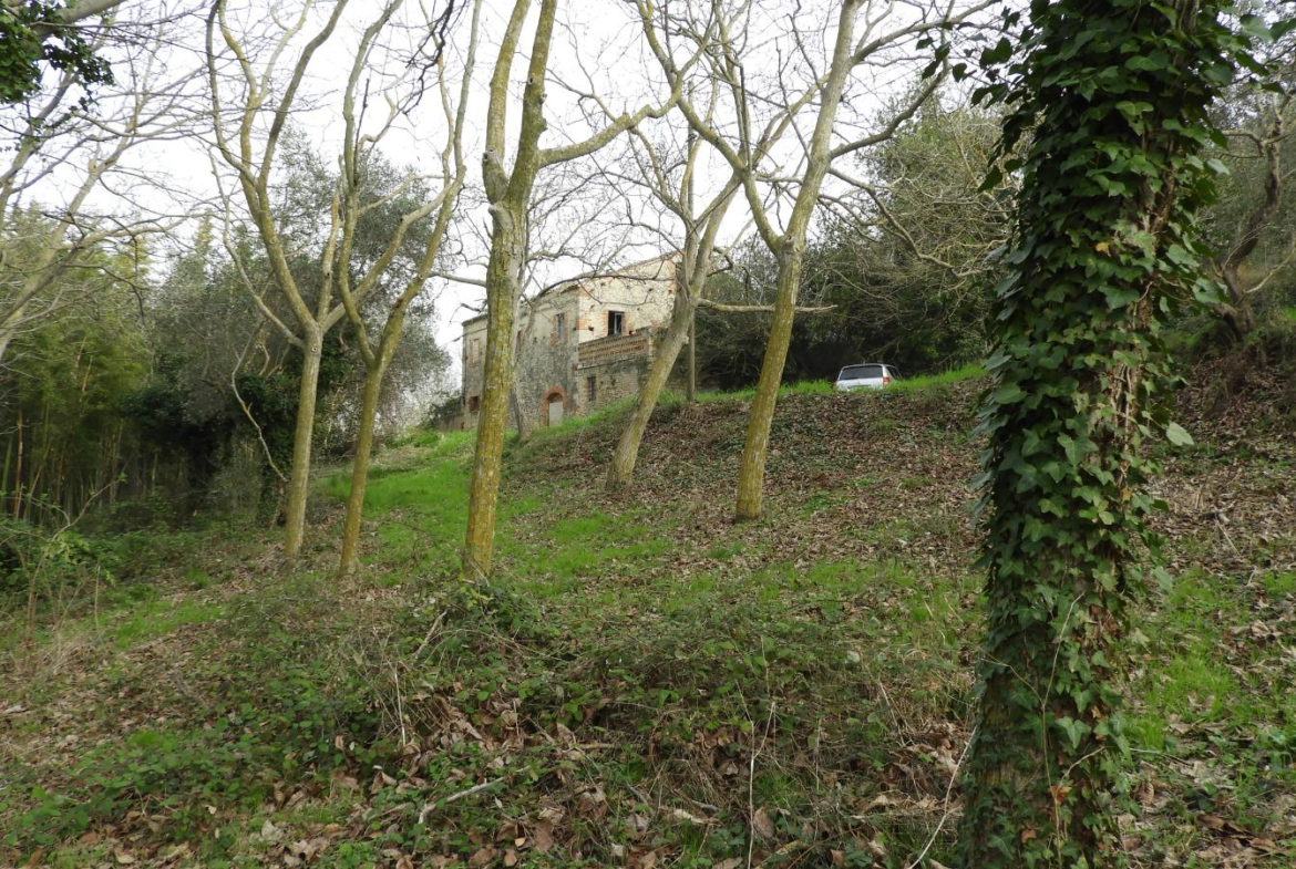 Excellent 3 Bed Farmhouse for Renovation for Sale In Campofilone Fermo Marche Italy