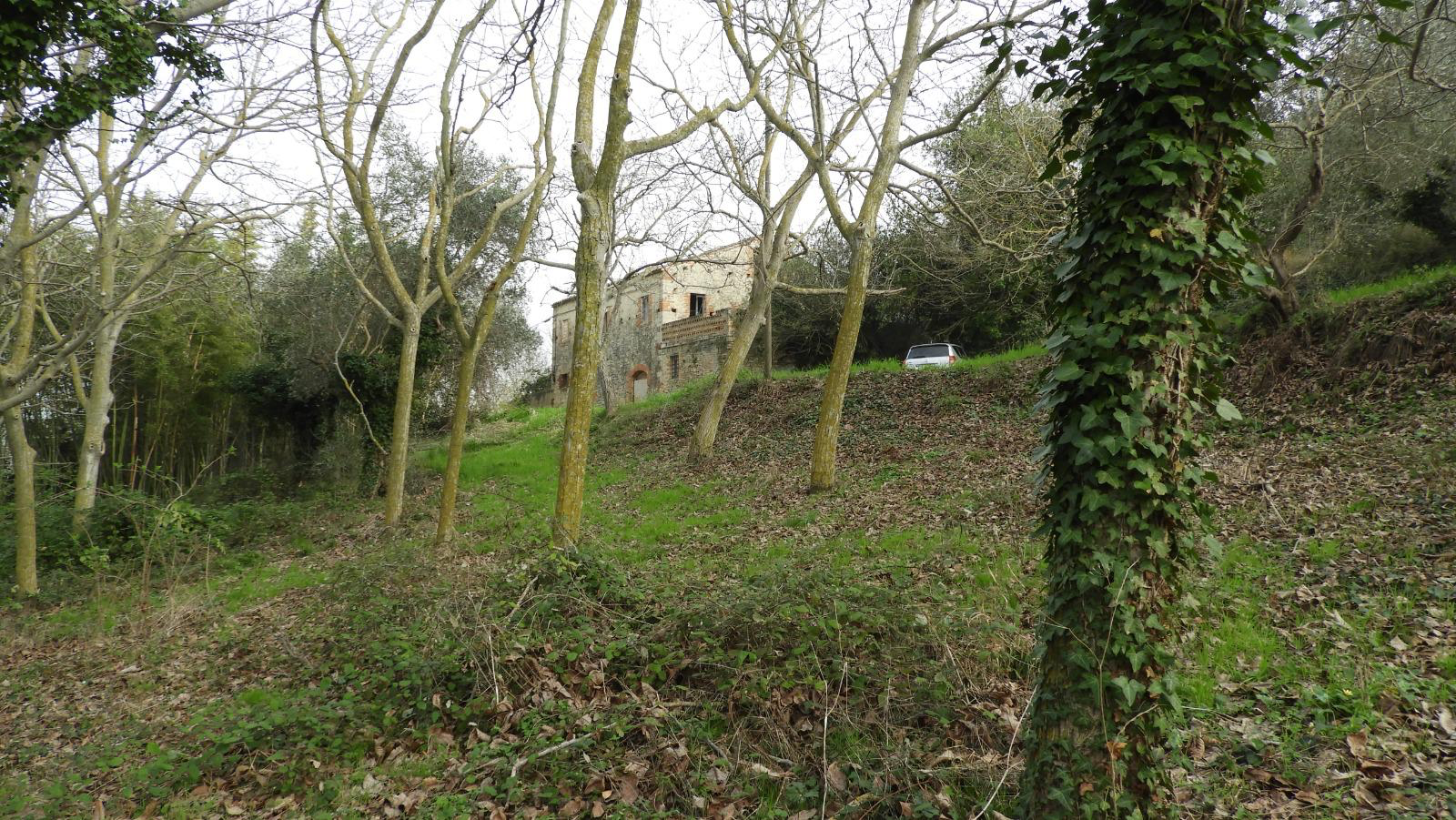 Excellent 3 Bed Farmhouse for Renovation for Sale In Campofilone Fermo Marche Italy