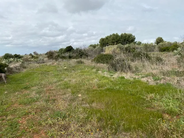 Excellent Plot of land for sale in Morciano di Leuca Puglia Italy