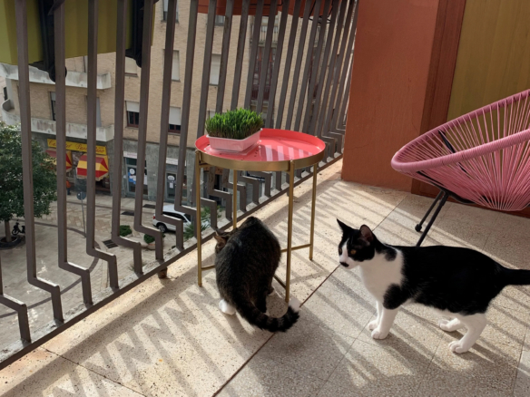 Excellent 2 Bed Apartment for Sale In Brindisi Italy