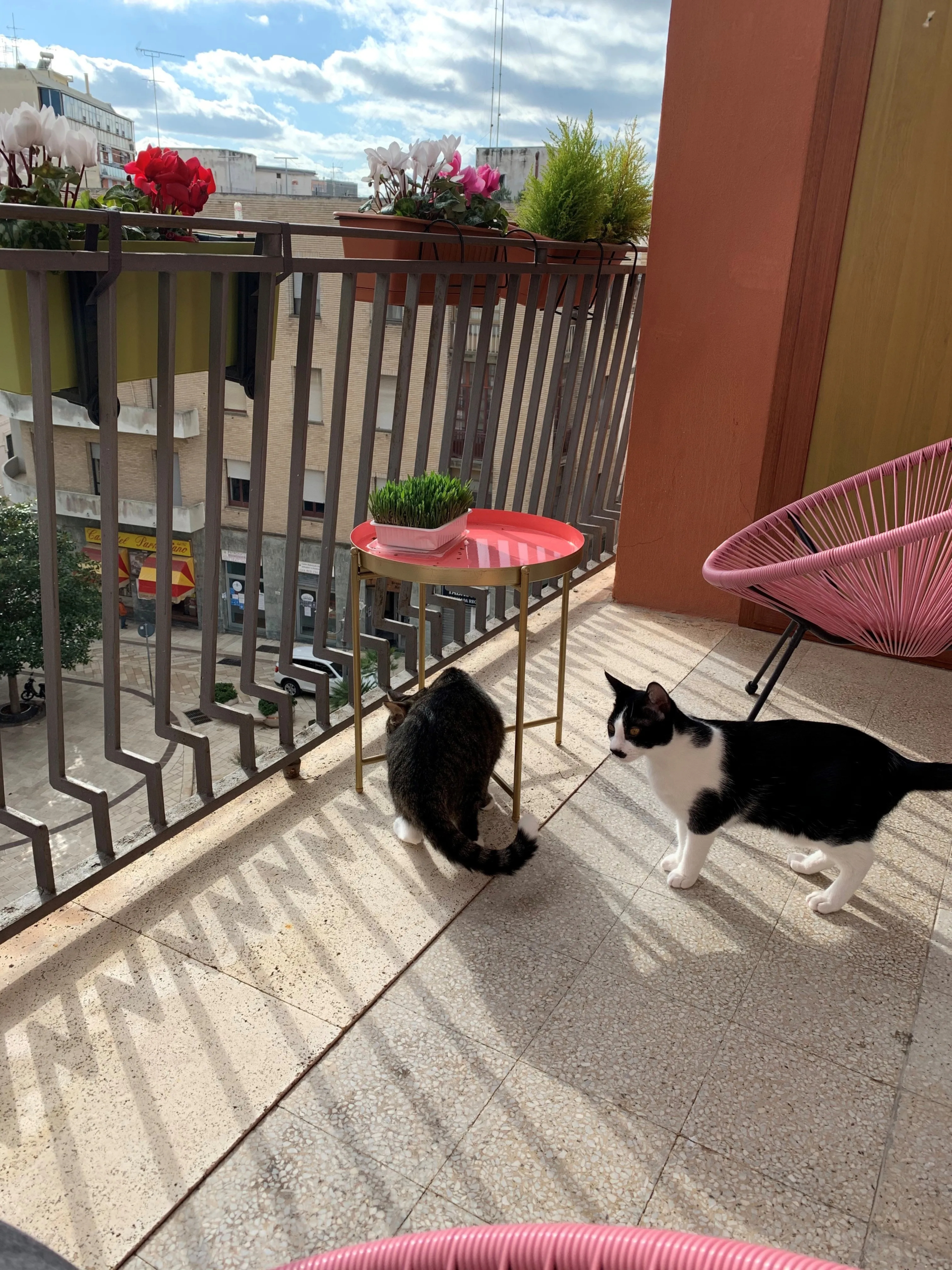 Excellent 2 Bed Apartment for Sale In Brindisi Italy