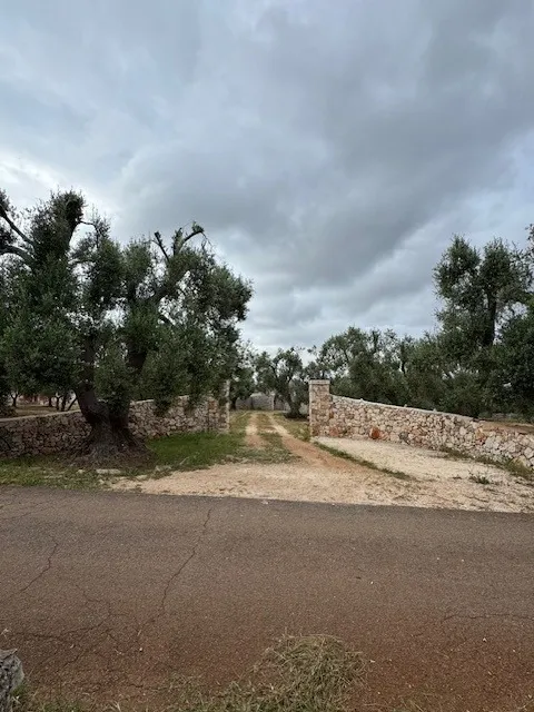 Estate For Redvelopment for Sale In Ceglie Messapica Brindisi Puglia Italy