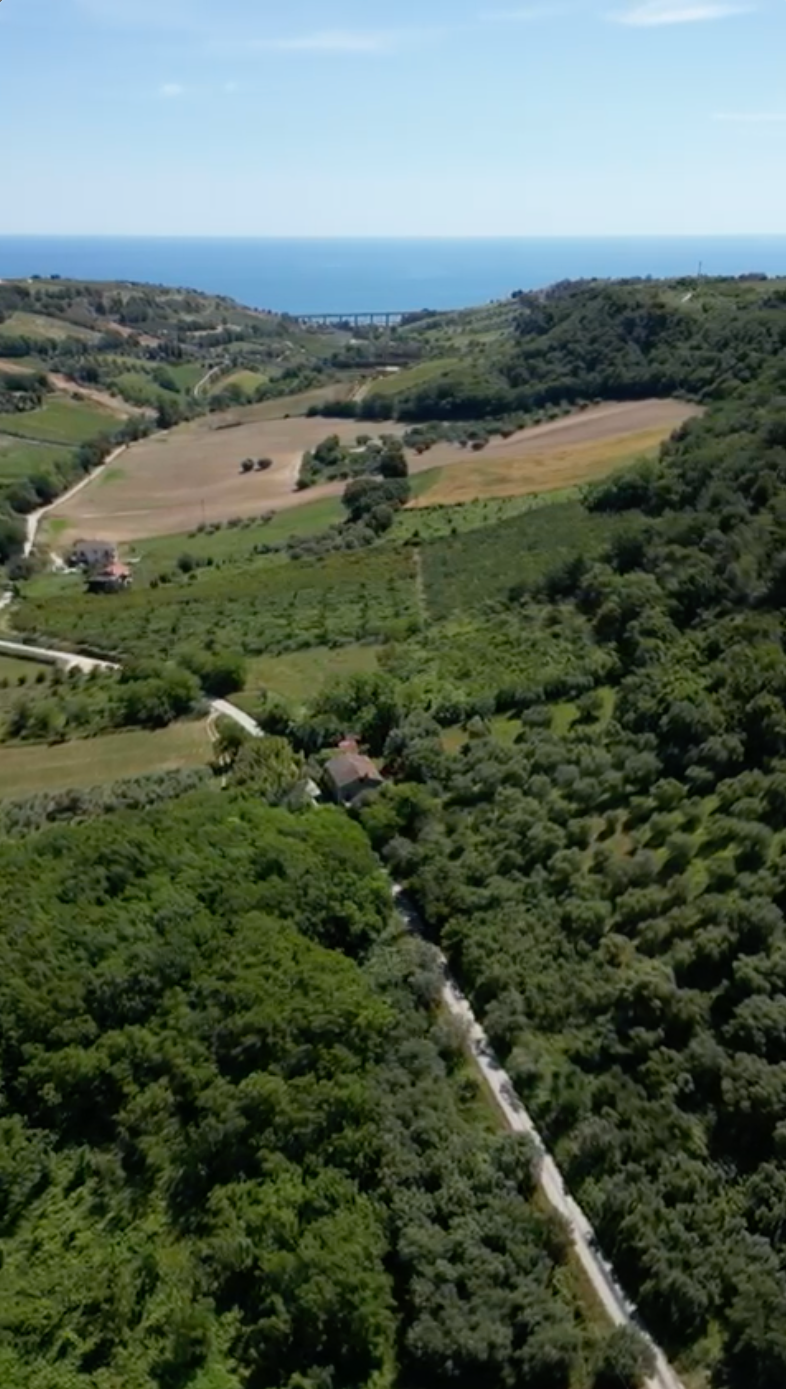 Excellent 3 Bed Farmhouse for Renovation for Sale In Campofilone Fermo Marche Italy
