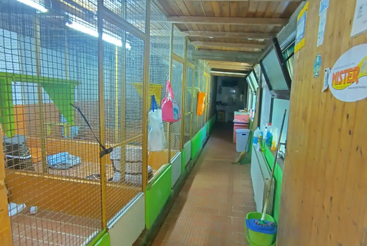 Luxury Estate & Canine Business for Sale In Terranuova Bracciolini Tuscany Italy