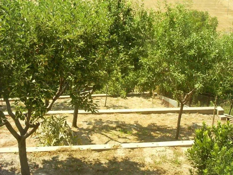 Excellent 5 Bed Country House For Sale In Roccafluvione Italy