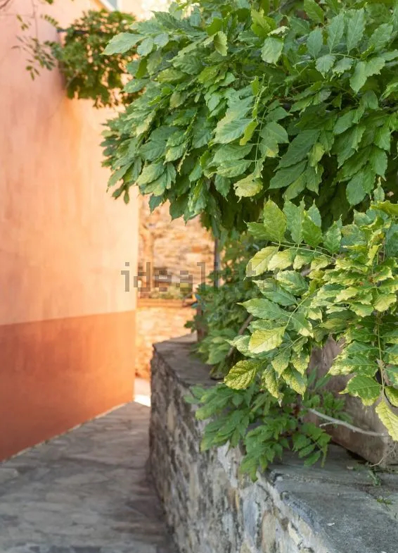 Luxury 7 Bed Villa For Sale In Fivizzano Tuscany Italy