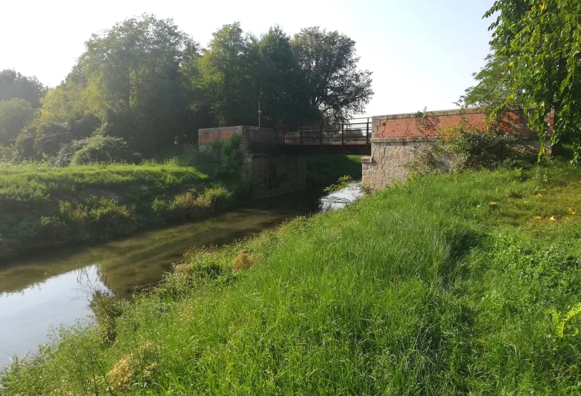Excellent Plot of land for sale in Silvelle di Trebaseleghe Padua Veneto Italy