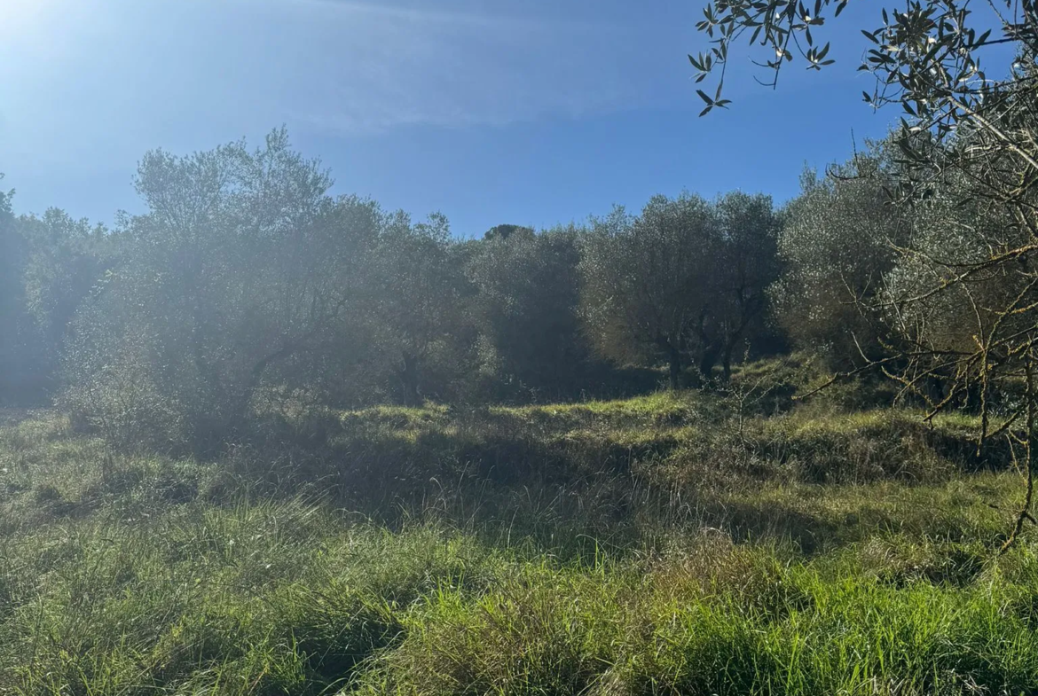 Excellent Plot of land for sale in Sant’Arcangelo Umbria Italy