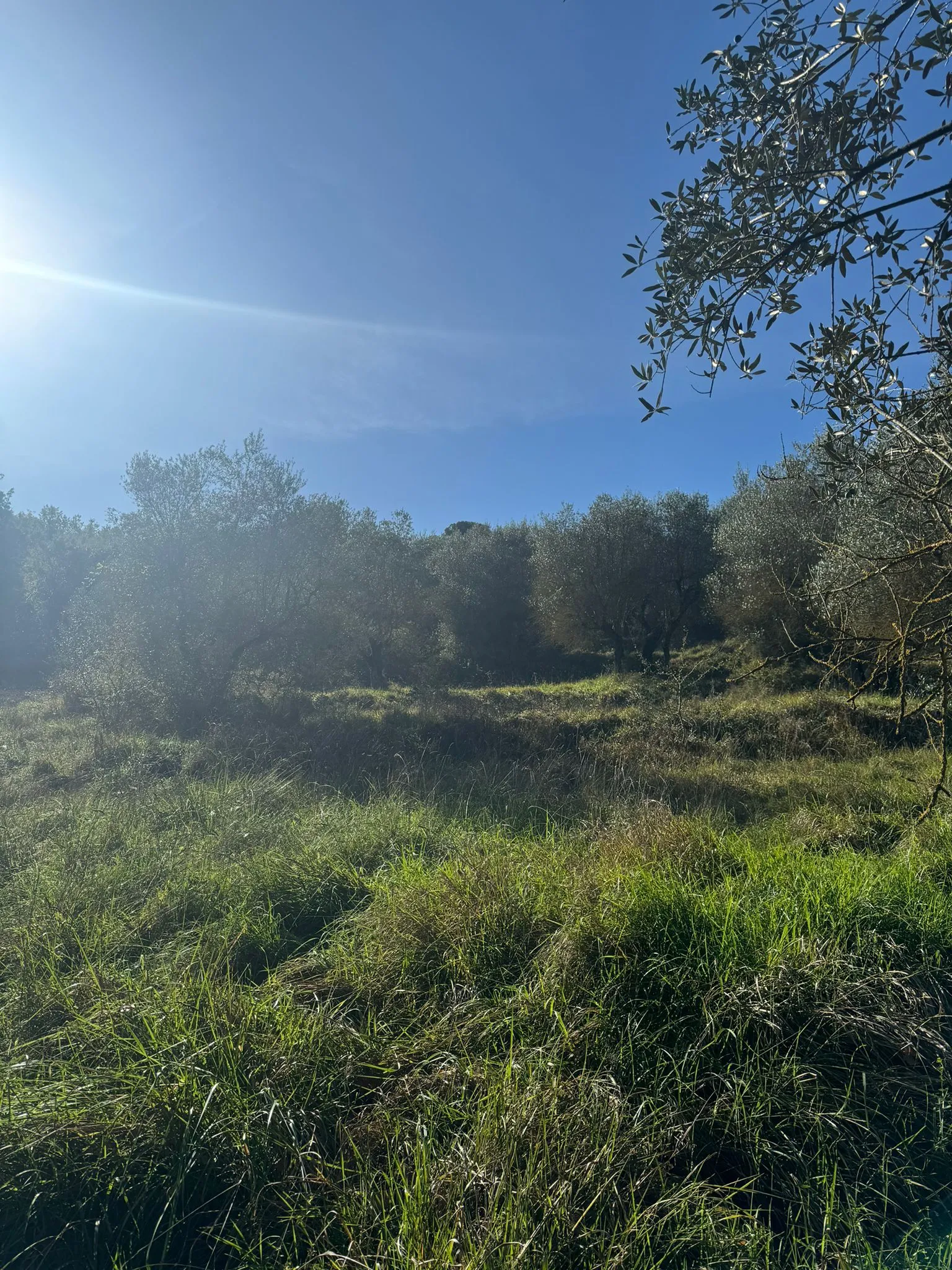 Excellent Plot of land for sale in Sant’Arcangelo Umbria Italy
