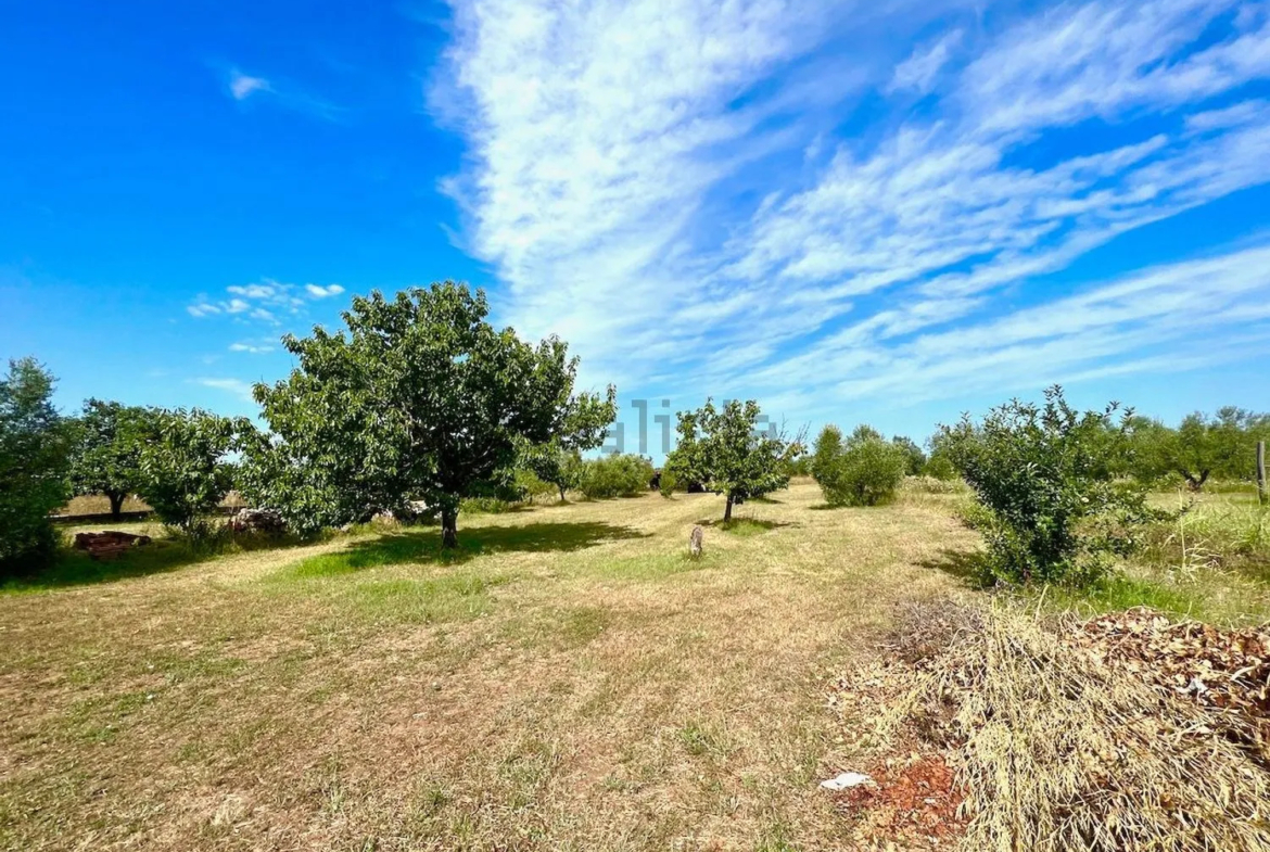 Excellent 3 Bed Villa for Sale In Via Chiusagrande Campiglia marittima Italy