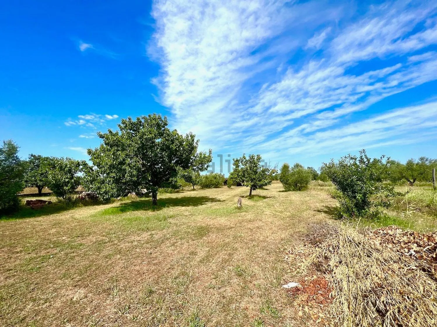 Excellent 3 Bed Villa for Sale In Via Chiusagrande Campiglia marittima Italy