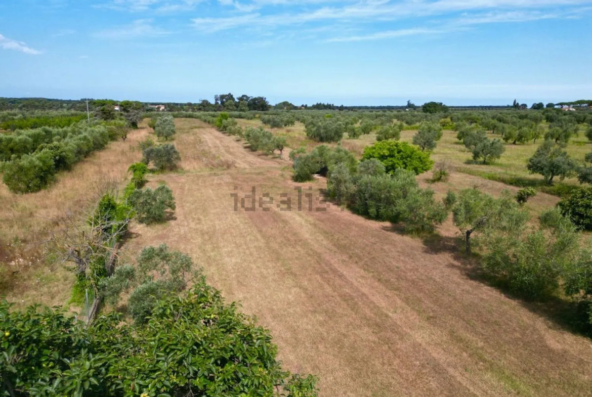 Excellent 3 Bed Villa for Sale In Via Chiusagrande Campiglia marittima Italy