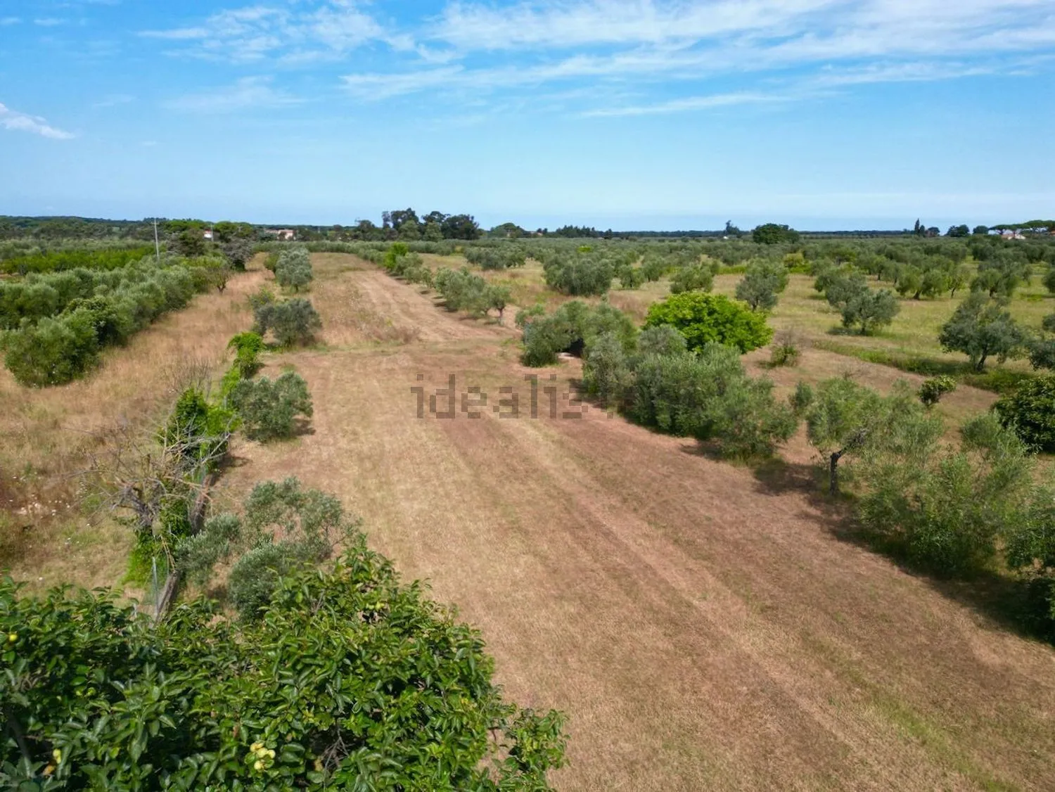 Excellent 3 Bed Villa for Sale In Via Chiusagrande Campiglia marittima Italy