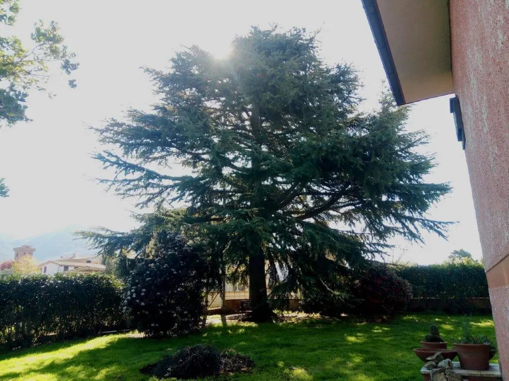 Excellent 4 Bed Villa For Sale in Palestrina Lazio Italy