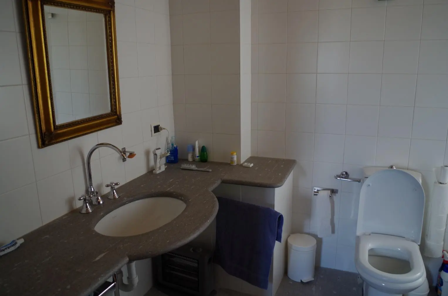 Excellent Estate Of Properties for Sale In Canei, Piedmont Italy