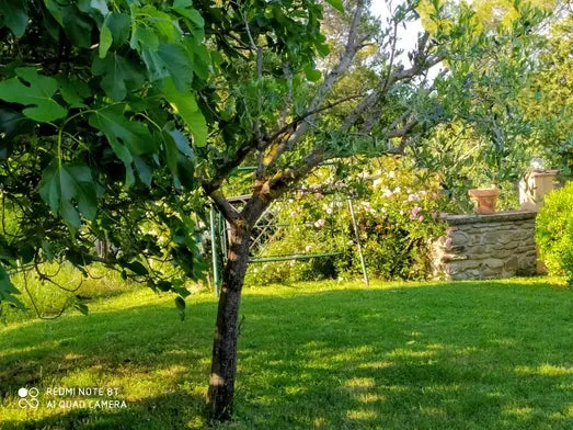 Luxury 5 Bed B&B for Sale In Sant’Angelo in Vado Marche Italy