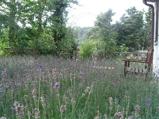 Luxury 5 Bed B&B for Sale In Sant’Angelo in Vado Marche Italy