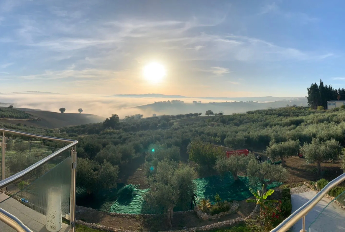 Luxury 6 Bed Villa For sale in MONTENERO DI BISACCIA Molise Abruzzo Italy