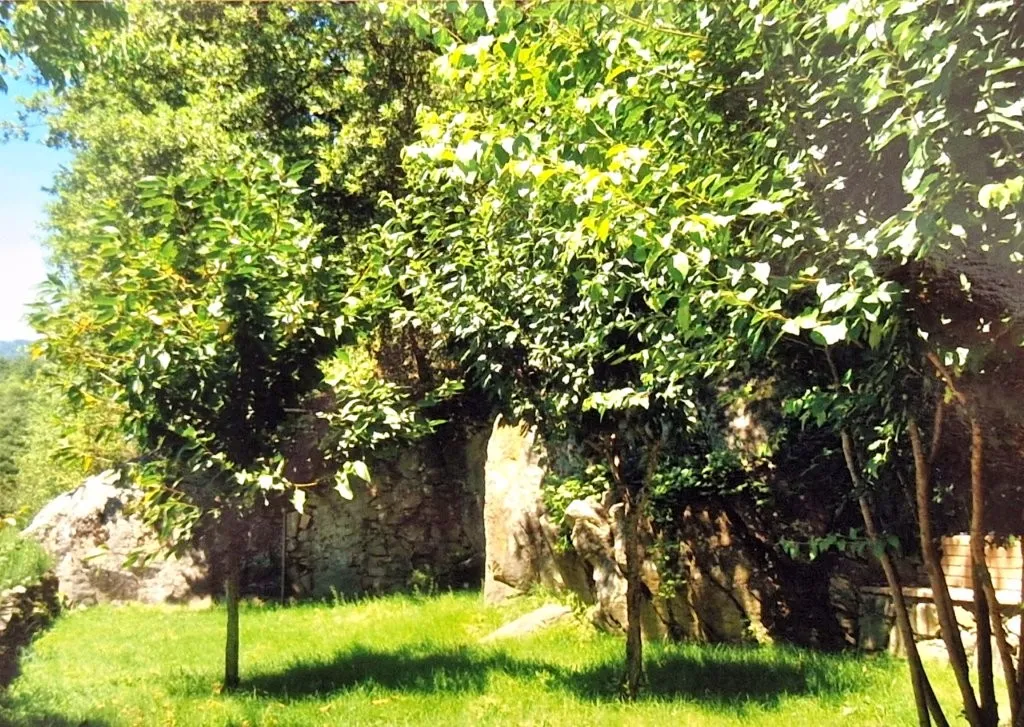 Estate with Multiple Properties for Sale In Cortona Tuscany Italy