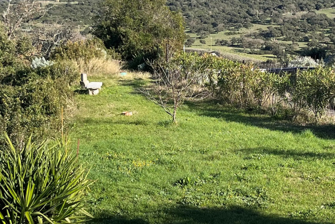Stunning 3 Bed House For Sale in Chiaramonti Sassari Italy