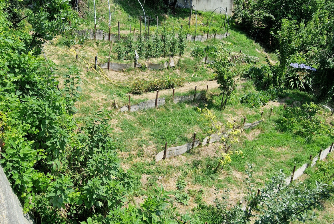 Estate of Properties for Sale In Pino D’Asti Piedmont Italy