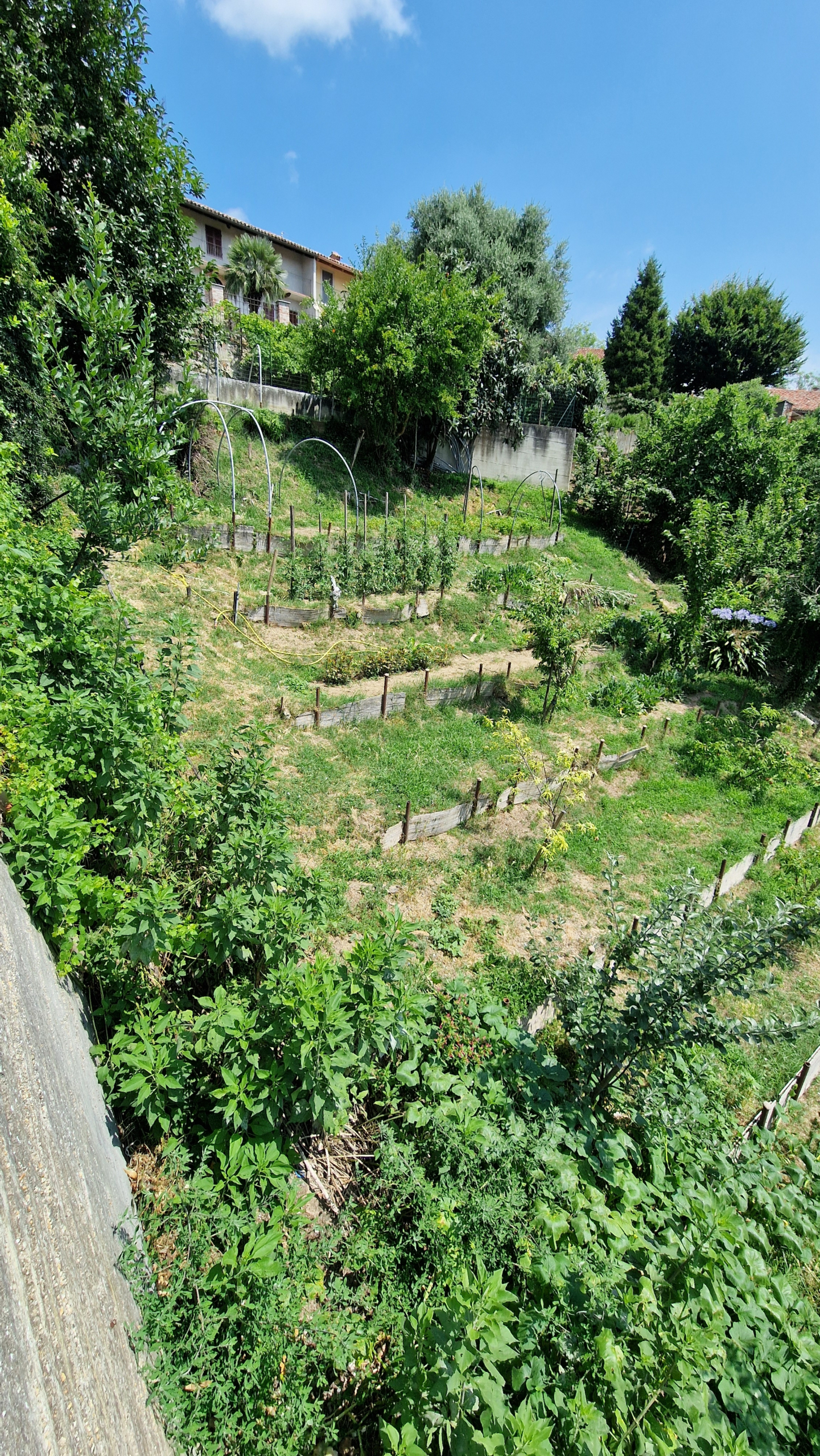 Estate of Properties for Sale In Pino D’Asti Piedmont Italy