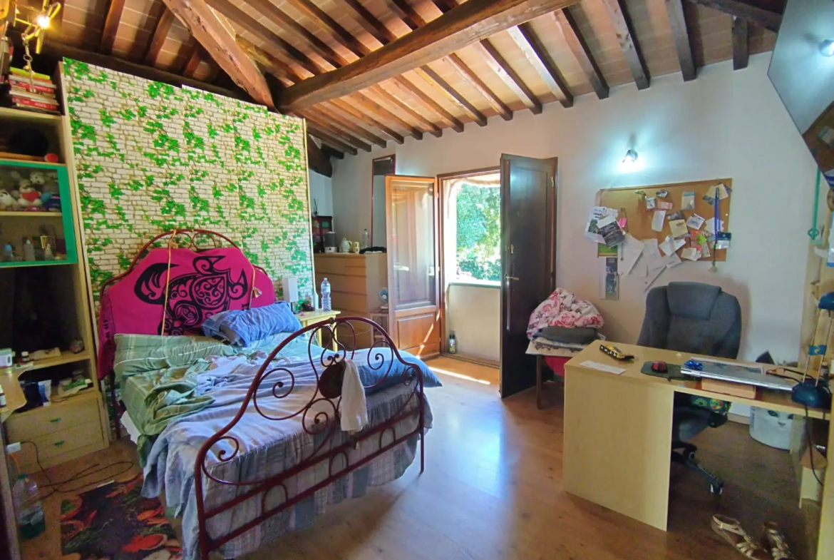 Luxury Estate & Canine Business for Sale In Terranuova Bracciolini Tuscany Italy