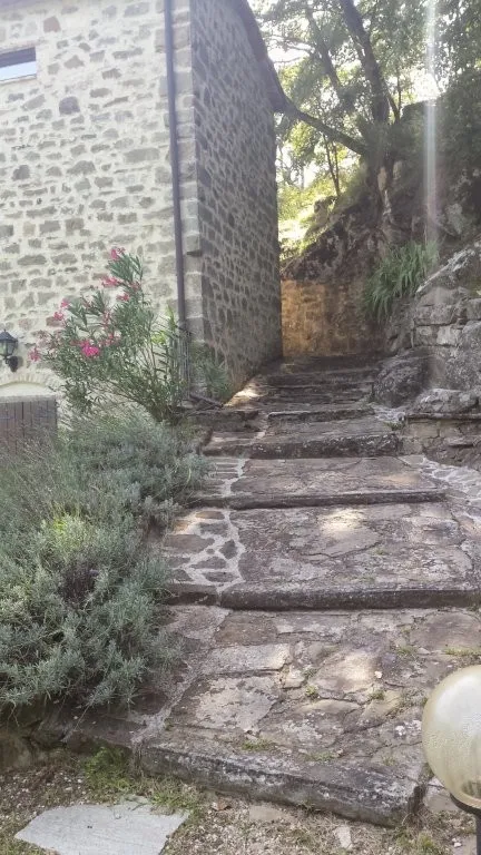Estate with Multiple Properties for Sale In Cortona Tuscany Italy