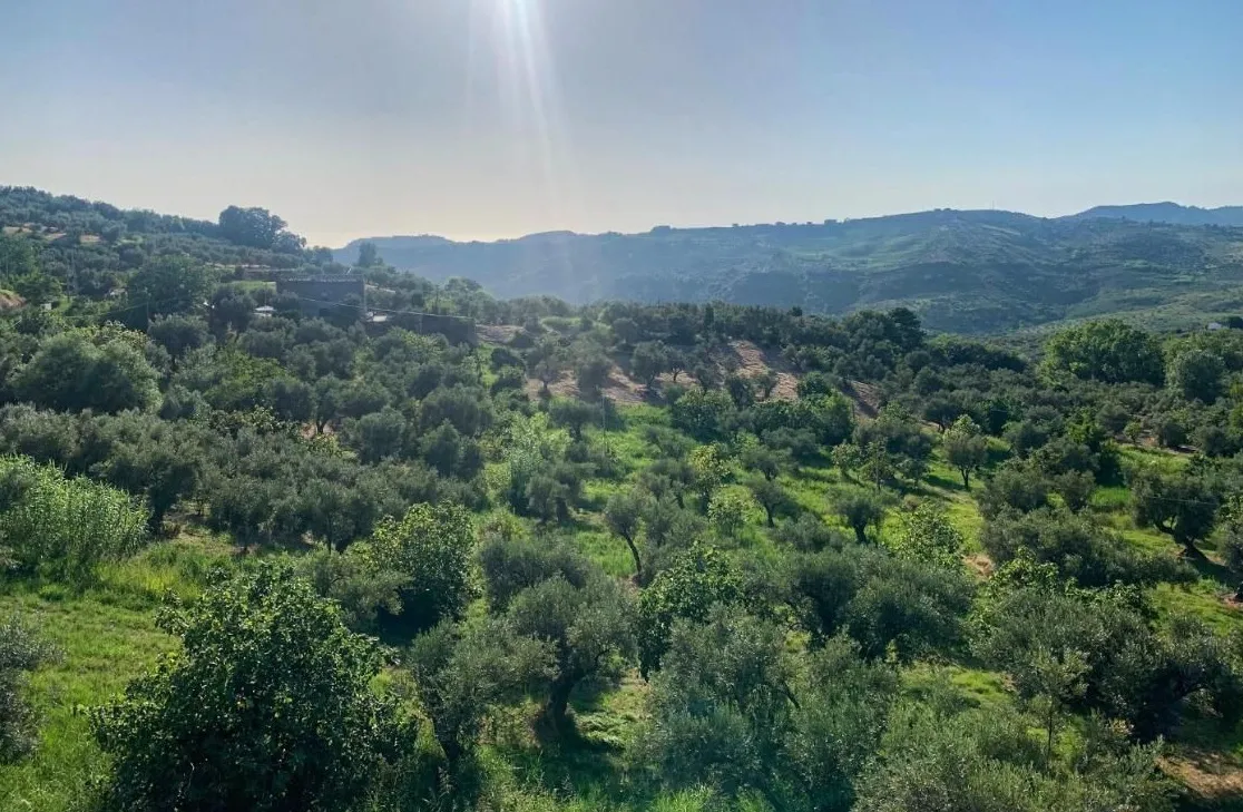 Commerical property with apartment for Sale In Cleto Calabria Italy