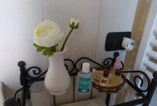 Luxury 5 Bed B&B for Sale In Sant’Angelo in Vado Marche Italy