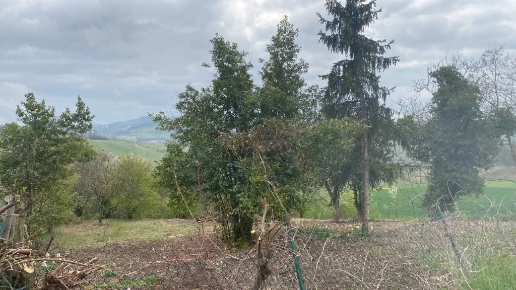 Excellent 3 Bed House for Sale In Ozzano Monferrato Italy