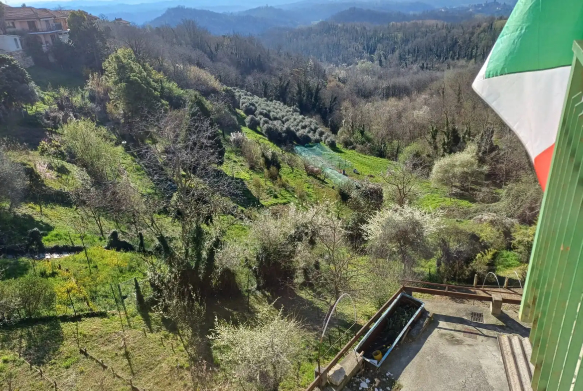 Estate of Properties for Sale In Pino D’Asti Piedmont Italy